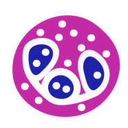 Neutrophil icon: a round cell with a multi-lobed nucleus and granules in the cytoplasm